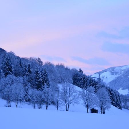 Appartement Herzogbauer Saalfelden Exteriér fotografie