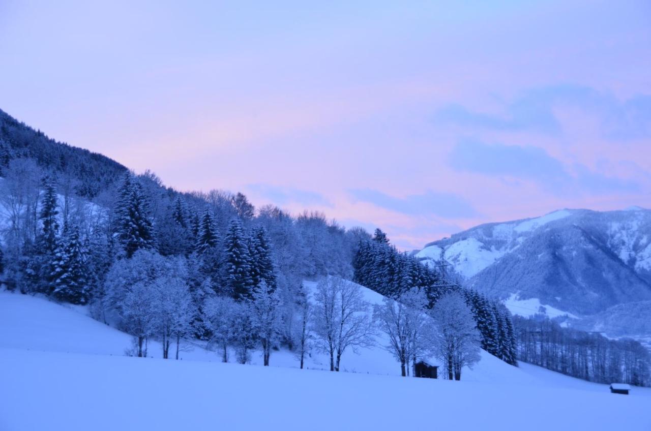 Appartement Herzogbauer Saalfelden Exteriér fotografie